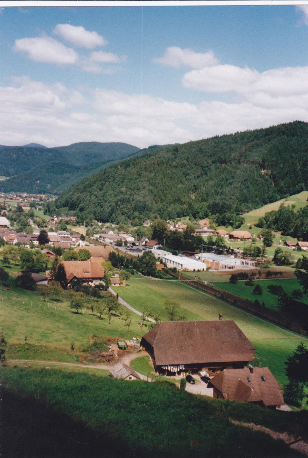 Hotel Waeldebauernhof Gutach Exteriér fotografie